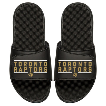 Toronto Raptors Bar Logo Slides