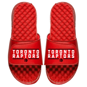 Toronto Raptors Bar Logo Slides