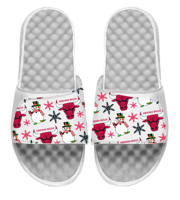 Chicago Bulls NBA Holiday Slides