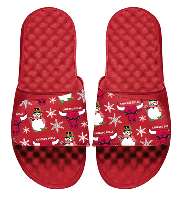Chicago Bulls NBA Holiday Slides