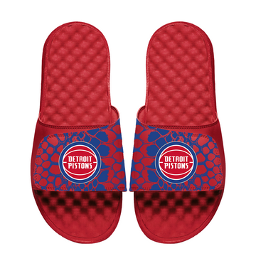 Detroit Pistons Year of the Snake