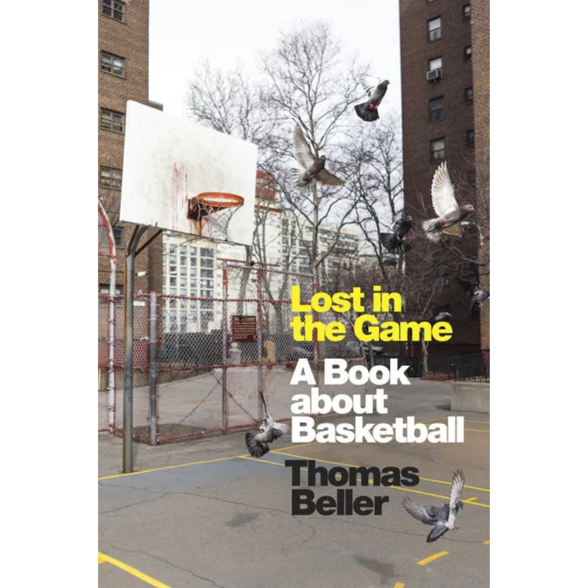 Lost in the Game: A Book about Basketball - Hardcover