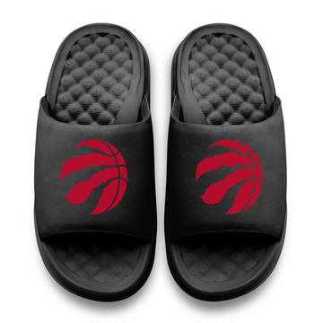 Toronto Raptors Primary Motive