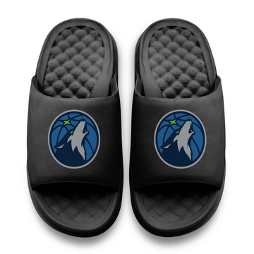 Minnesota Timberwolves Primary Motive