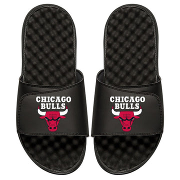 Chicago Bulls Global Slides