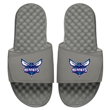 Hornets 8Bit Logo Slides