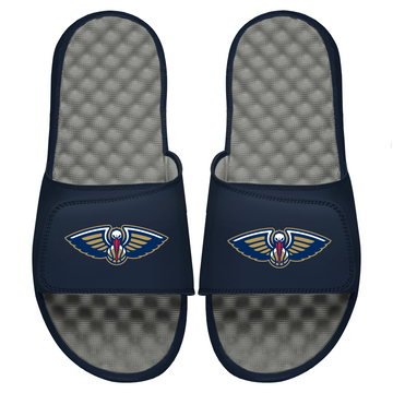 Pelicans Primary Logo Slides
