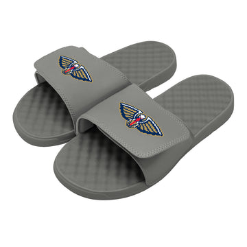 Pelicans 8Bit Logo Slides