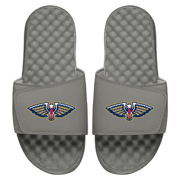 Pelicans 8Bit Logo Slides