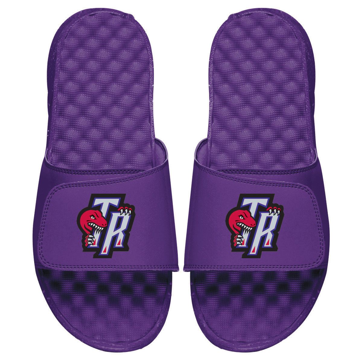 Raptors HWC Secondary Logo Slides