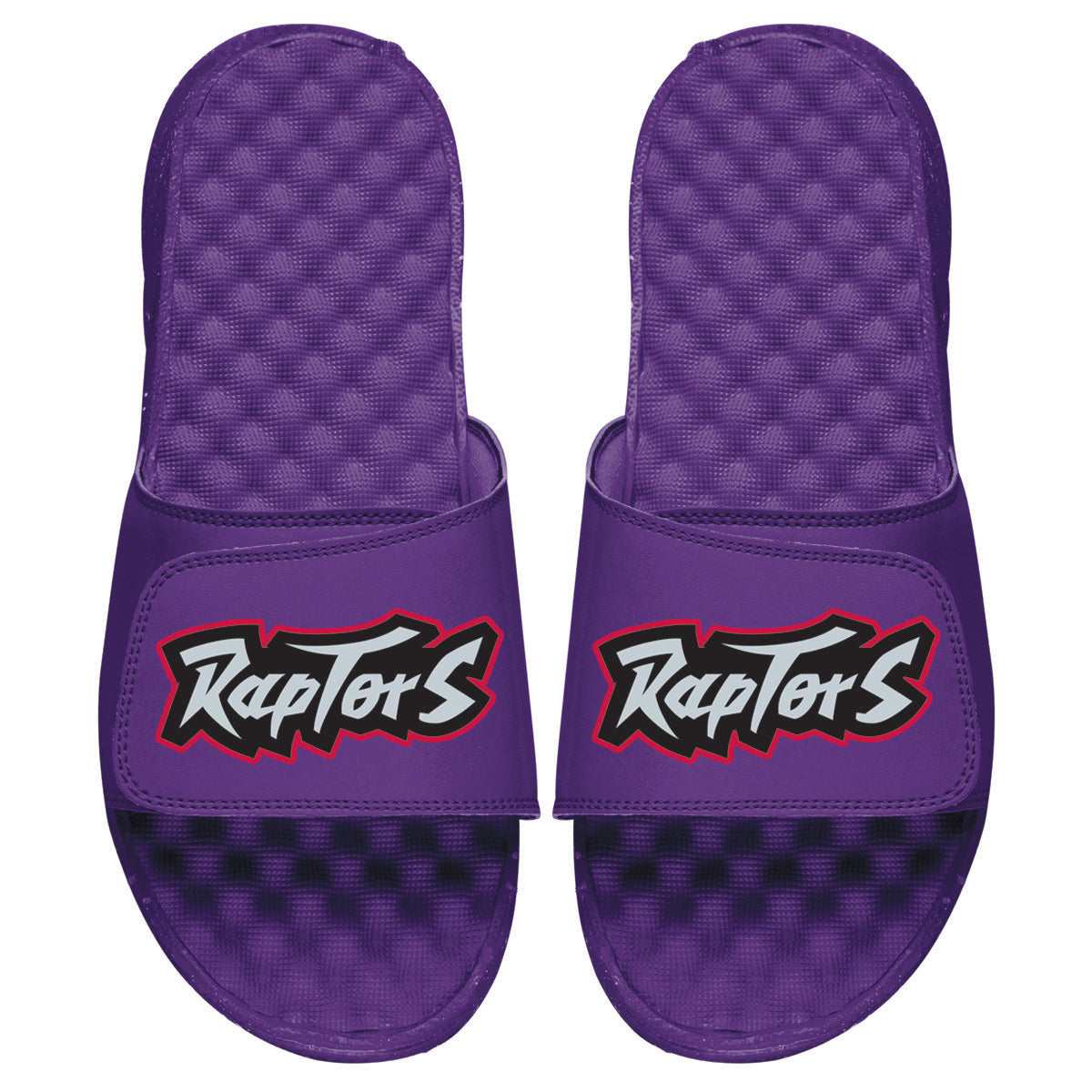 Raptors HWC Wordmark Slides