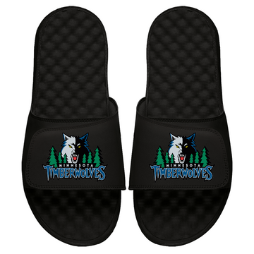 Minnesota Timberwolves HWC Primary Slides